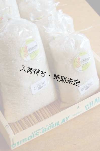 画像5: La Salorge de la Vertonne  ヴェルトンヌの粗塩 -Gros sel- 小(500g) (5)