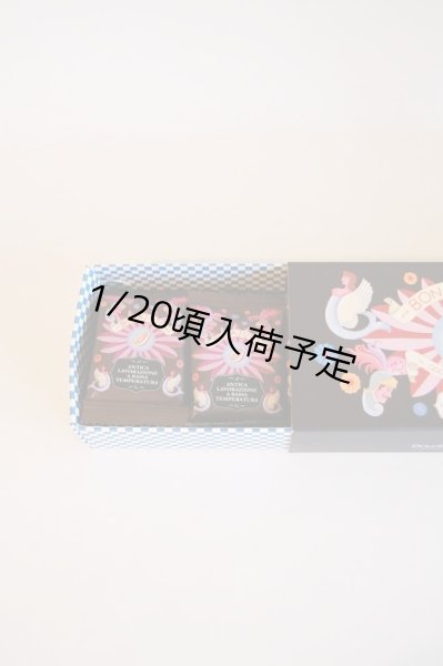 画像4: アンティカ・ドルチェリア・ボナイユート　チョコレート"きび砂糖"(18枚入り) (4)