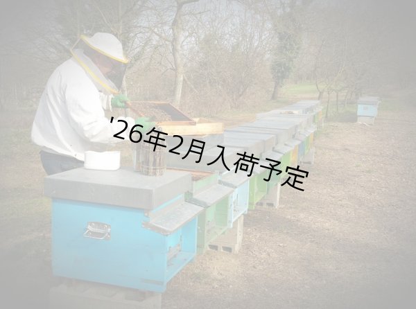 画像3: レ・クエルチェ ハチミツ アルプスの花(200g) (3)