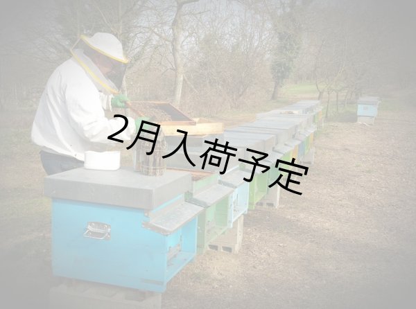 画像3: レ・クエルチェ　ハチミツ　アルプスの花(200g) (3)