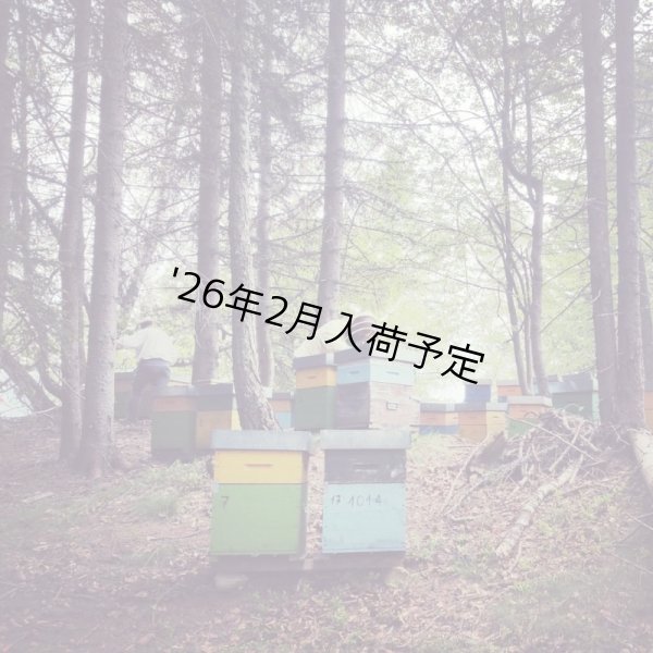画像4: レ・クエルチェ ハチミツ アルプスの花(200g) (4)