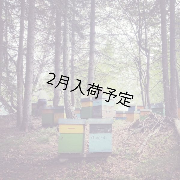 画像4: レ・クエルチェ　ハチミツ　アルプスの花(200g) (4)