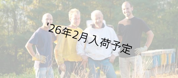 画像8: レ・クエルチェ ハチミツ アグルーミ BIO(200g) (8)