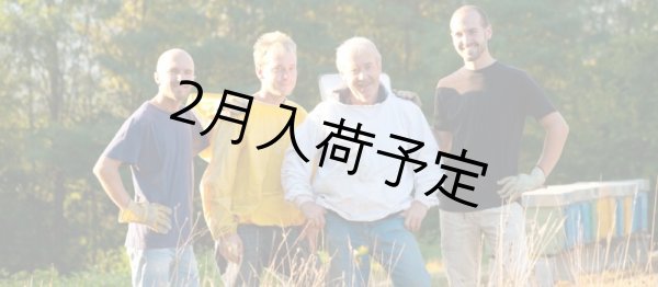 画像7: レ・クエルチェ　ハチミツ　アルプスの花(200g) (7)