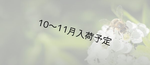 画像7: レ・クエルチェ　ハチミツ　リンデン(200g) (7)