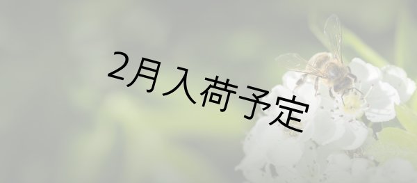 画像7: レ・クエルチェ　ハチミツビネガー(250ml) (7)