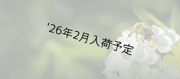 画像6: レ・クエルチェ ハチミツ アルプスの花(200g) (6)