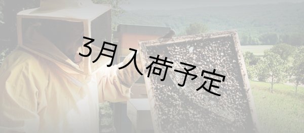 画像8: レ・クエルチェ　森のハチミツ(200g)　甘露蜜（ハニーデュー） (8)