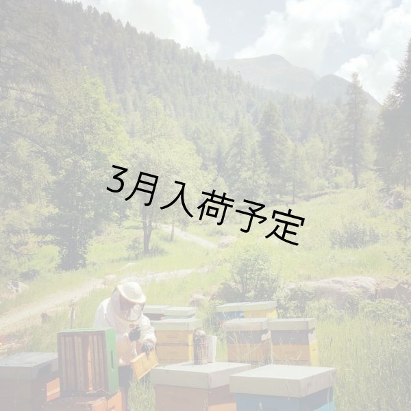 画像5: レ・クエルチェ　森のハチミツ(200g)　甘露蜜（ハニーデュー） (5)