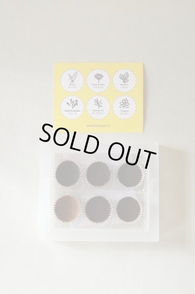 画像2: アンティカ・ドルチェリア・ボナイユート　6種のスパイスチョコレート(6粒) (2)