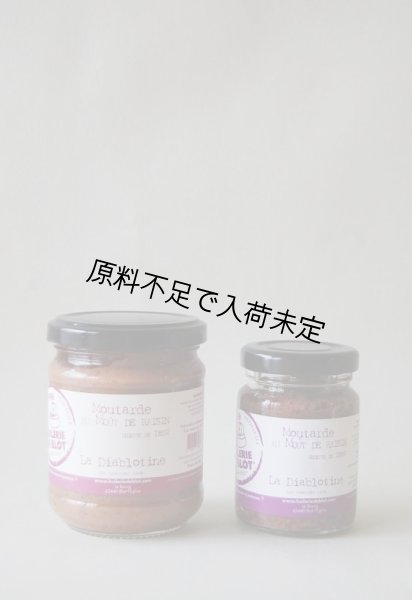 画像2: Huilerie de Blot ぶどう果汁入りマスタード(90g) (2)