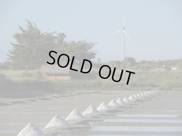 画像8: フランス産木の実のオイル2種と塩の花　ギフト箱入りセット (8)