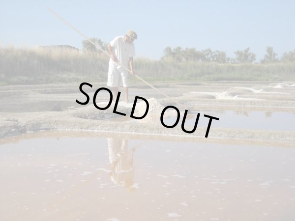 画像7: フランス産木の実のオイル2種と塩の花　ギフト箱入りセット (7)