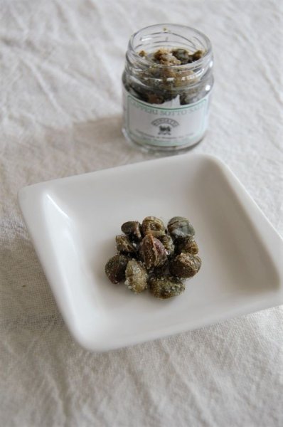 画像2: イル・モンジェット ケーパー塩漬け(35g) (2)