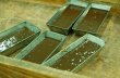 画像4: アンティカ・ドルチェリア・ボナイユート　チョコレート"カカオ100%"(50g) (4)