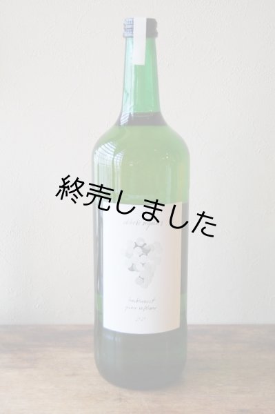 画像1: 【在庫限りで終売】エーデルレーベ　トラウベンモスト　グリューナーフェルトリーナー2022≪オーガニック・ワイン用白ぶどうのジュース≫　(1000ml) (1)