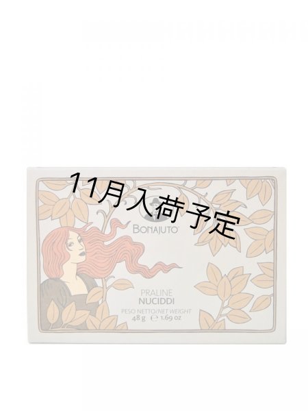 画像1: アンティカ・ドルチェリア・ボナイユート　チョコレート"ヌチッディ"(6粒) (1)