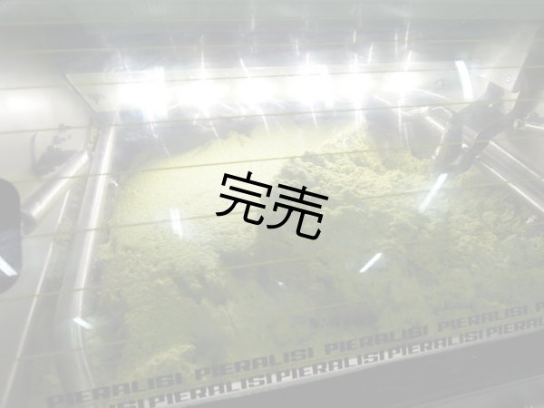 画像5: カステル・ディ・レゴ　ニュー・ハーヴェスト　EXVオリーブオイル　NOVELLO2025(500ml)　 (5)