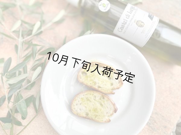 画像4: カステル・ディ・レゴ ニュー・ハーヴェスト EXVオリーブオイル NOVELLO2025(500ml)  (4)