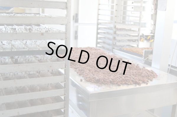 画像5: アンティカ・ドルチェリア・ボナイユート　チョコレート"ヴェルデッロ（青レモン）"(50g) (5)