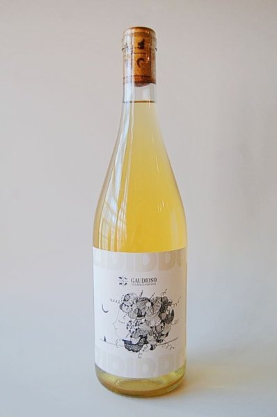 画像1: 白・辛口　ガウディオーゾ　ジビッボ2022(750ml) (1)