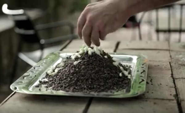 画像6: アンティカ・ドルチェリア・ボナイユート　チョコレート　ジャスミン（20g） (6)