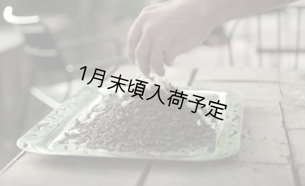 画像6: アンティカ・ドルチェリア・ボナイユート チョコレート ジャスミン(20g) (6)