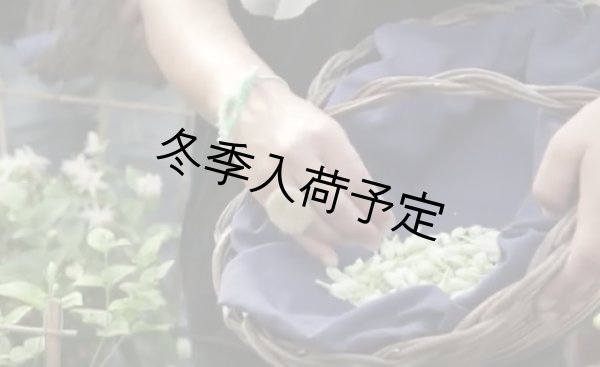 画像5: アンティカ・ドルチェリア・ボナイユート　チョコレート　ジャスミン（20g） (5)