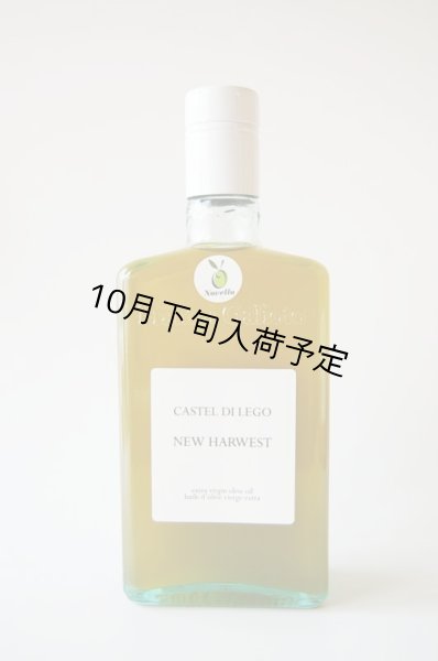 画像1: カステル・ディ・レゴ ニュー・ハーヴェスト EXVオリーブオイル NOVELLO2025(500ml)  (1)