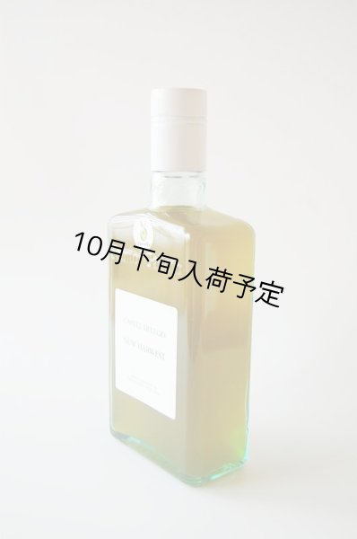 画像2: カステル・ディ・レゴ ニュー・ハーヴェスト EXVオリーブオイル NOVELLO2025(500ml)  (2)
