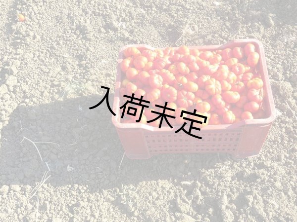 画像3: ヴァルディベッラ　パッサータ・ディ・ポモドーロ(410g) (3)