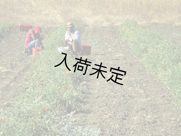 画像2: ヴァルディベッラ　パッサータ・ディ・ポモドーロ(410g) (2)