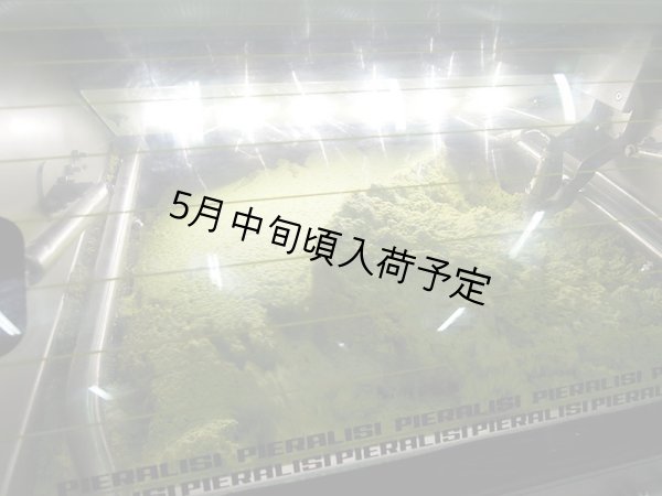 画像3: カステル・ディ・レゴ　オーロ　EXVオリーブオイル(500ml) (3)