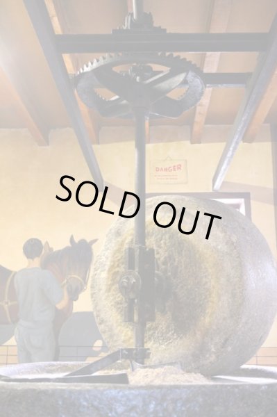 画像2: 【SALE】Huilerie de Blot ヘーゼルナッツオイル・ミニサイズ（100ml） (2)