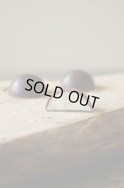 画像2: 【フードロス削減】アンティカ・ドルチェリア・ボナイユート　コーヒーのプラリネ(4粒) (2)