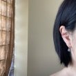 画像6: herbário　【天然石】ブラックルチルインクォーツのイヤリング【ピアスに変更可能】 (6)