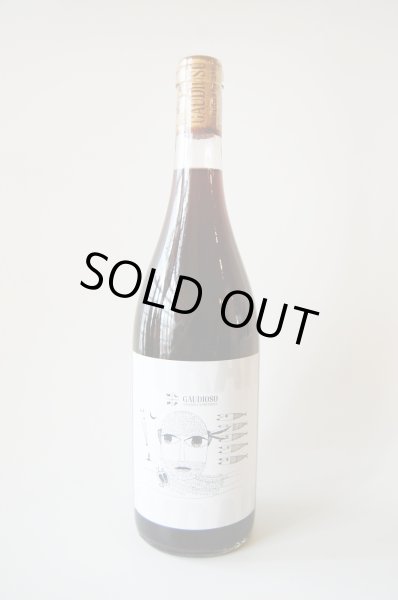 画像1: 【BIO】赤・辛口 ガウディオーゾ シラー2022(750ml) (1)