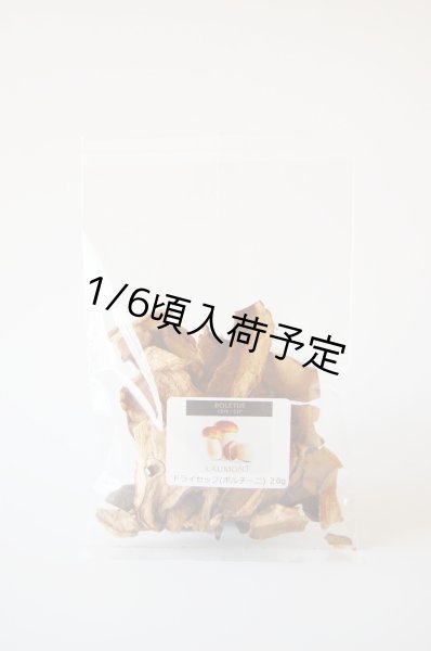 画像1: ドライセップ（乾燥ポルチーニ）(20g） (1)