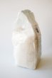 画像2: ゲランドの塩　海の果実(1kg)  (2)