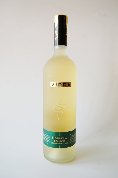 画像1: 白・辛口　ビジ　ヴィプラ ビアンコIGT2024 (750ml) (1)