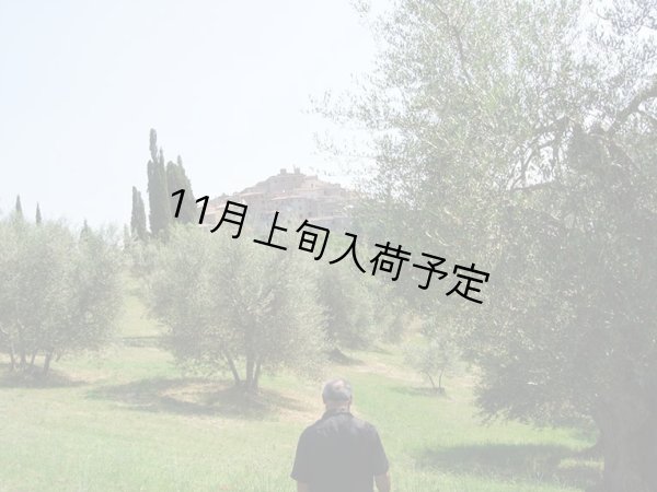 画像2: バルディ  EXVオリーブオイル　NOVELLO2026(500ml)　 (2)