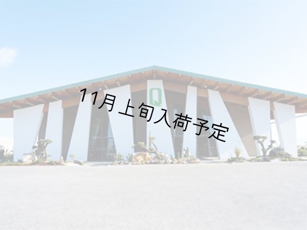 画像2: 【初登場】クアットロチョッキ　EXVオリーブオイル　NOVELLO2026(500ml)　 (2)