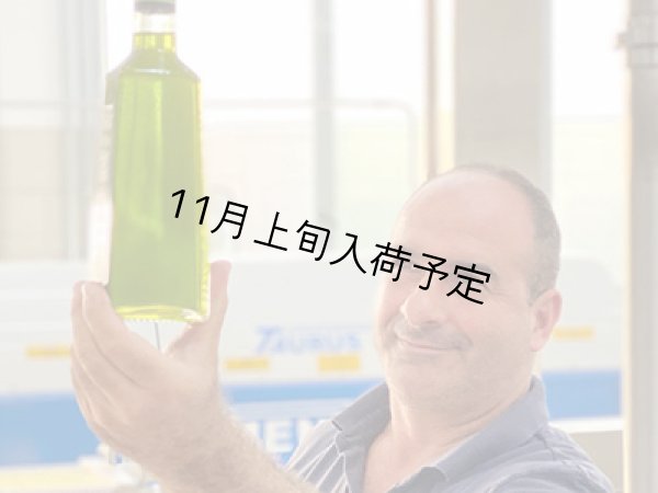 画像5: 【初登場】クアットロチョッキ　EXVオリーブオイル　NOVELLO2026(500ml)　 (5)