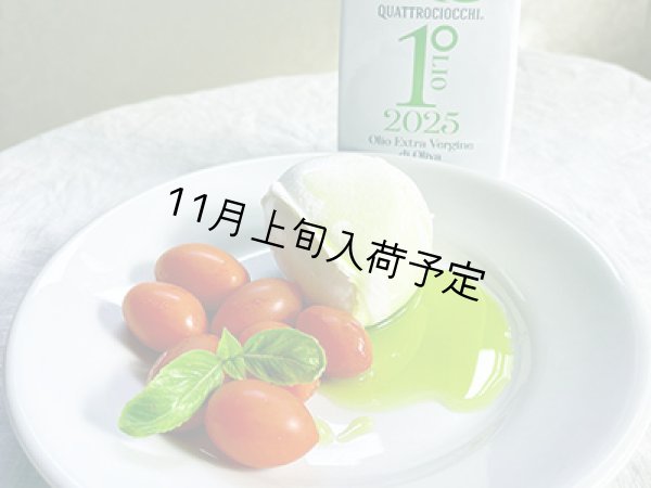画像6: 【初登場】クアットロチョッキ　EXVオリーブオイル　NOVELLO2026(500ml)　 (6)